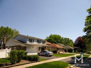 Homewood Terrace subdivision in Homewood, IL