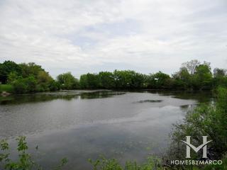 Pinetree subdivision in Homewood, IL