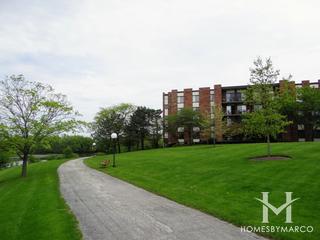 Pinetree subdivision in Homewood, IL