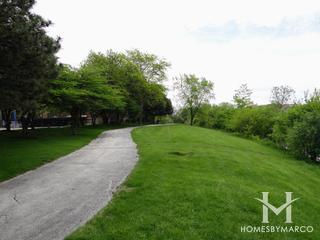 Pinetree subdivision in Homewood, IL