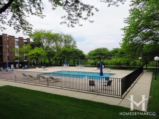 Pinetree subdivision in Homewood, IL