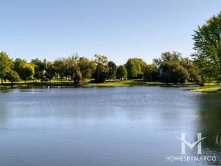 Braymore Hills subdivision in Inverness, IL