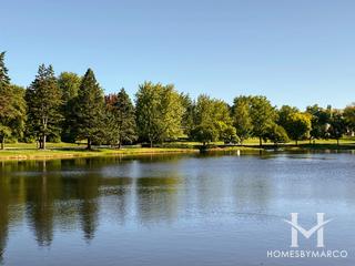 Braymore Hills subdivision in Inverness, IL