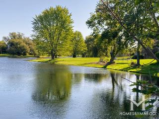 Braymore Hills subdivision in Inverness, IL