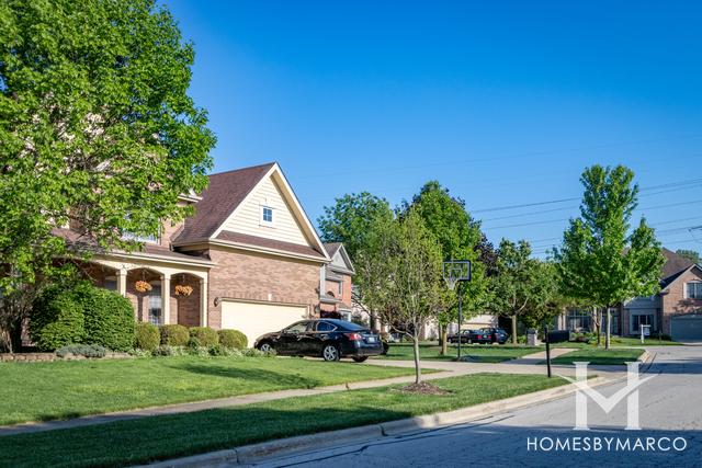 Thornberry Woods subdivision in Naperville, IL