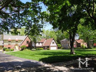 Ravisloe subdivision in Homewood, IL
