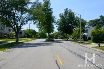 Banbury Lane subdivision in Palatine, IL