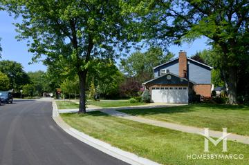 Banbury Lane subdivision in Palatine, IL