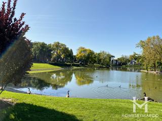 Baybrook building in Palatine, IL
