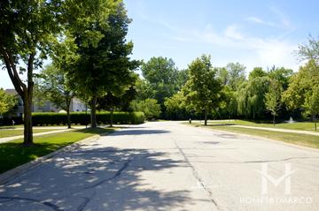 Carriageway West subdivision in Palatine, IL