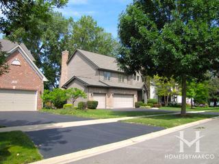 Chestnut Woods subdivision in Palatine, IL