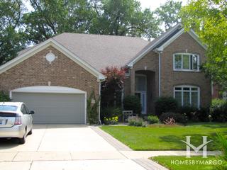 Chestnut Woods subdivision in Palatine, IL