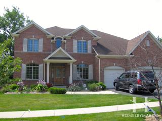 Chestnut Woods subdivision in Palatine, IL
