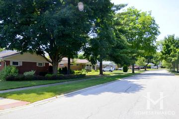 Glen Tyan Manor subdivision in Palatine, IL
