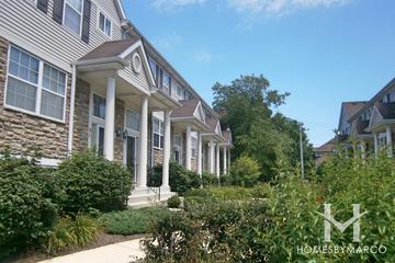 Insignia Court subdivision in Palatine, IL