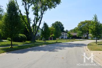 Kenilwicke subdivision in Palatine, IL