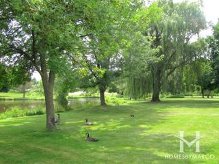 Lake Park Estates subdivision in Palatine, IL