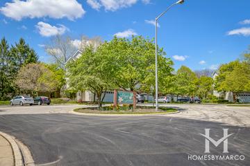 Maple Grove subdivision in Palatine, IL