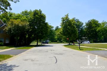 Quentin Woods subdivision in Palatine, IL