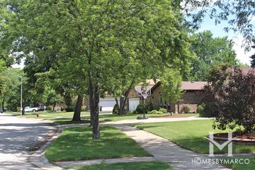 Spinnaker Cove subdivision in Palatine, IL
