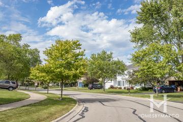 Cress Creek Commons subdivision in Naperville, IL
