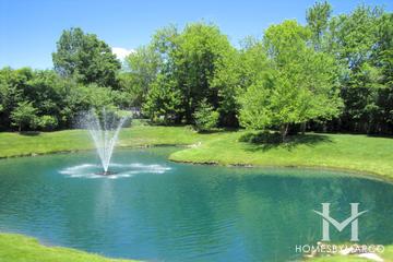 Villas of Fontenay subdivision in Palatine, IL