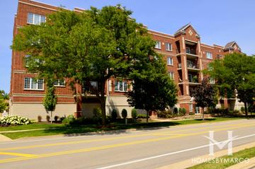 Wellington Court building in Palatine, IL