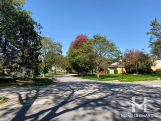 Whytecliff subdivision in Palatine, IL