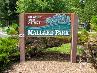 Willow Walk subdivision in Palatine, IL