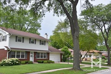 Willow Wood subdivision in Palatine, IL