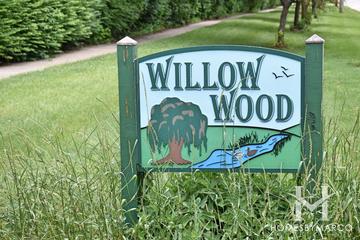 Willow Wood