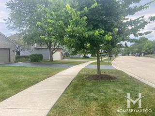 Vicente subdivision in Woodridge, IL