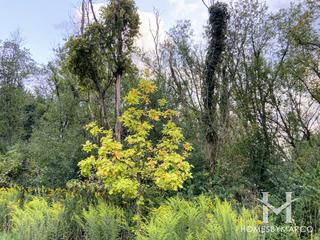 Vicente subdivision in Woodridge, IL