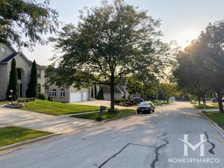 Photos of Woodridge Fountains subdivision in Woodridge, IL