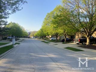 Chelsea Place subdivision in Winfield, IL