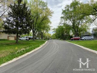 Photos of Pleasant Hill Woods subdivision in Winfield, IL