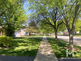 Timber Ridge subdivision in Winfield, IL