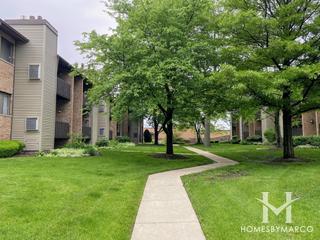 Green Willow subdivision in Willowbrook, IL
