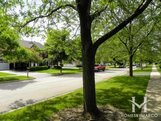 Deerpath Trails subdivision in Batavia, IL
