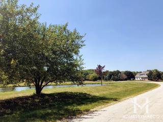 Farm Colony Estates subdivision in Yorkville, IL