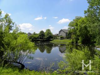 Photos of Terra Woods subdivision in Batavia, IL