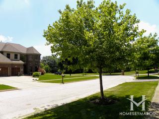 Terra Woods subdivision in Batavia, IL