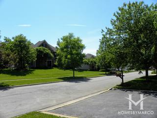 Wild Meadows subdivision in Batavia, IL