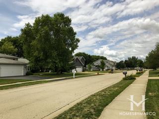 Fox Hill subdivision in Yorkville, IL