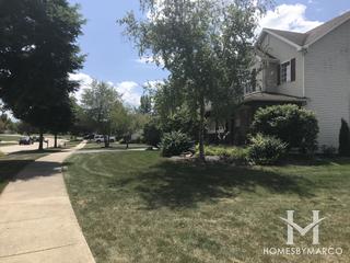 Sunflower Estates subdivision in Yorkville, IL