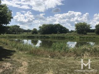 Sunflower Estates subdivision in Yorkville, IL