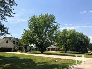 Timber Ridge subdivision in Yorkville, IL
