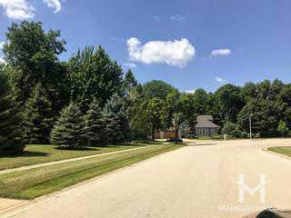 Wildwood subdivision in Yorkville, IL