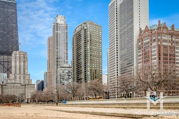 The Carlyle - 1040 N. Lake Shore building in the Gold Coast neighborhood of Chicago, IL