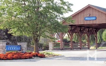 Bridges of Rivermist